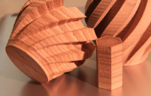 21 laywood fdm